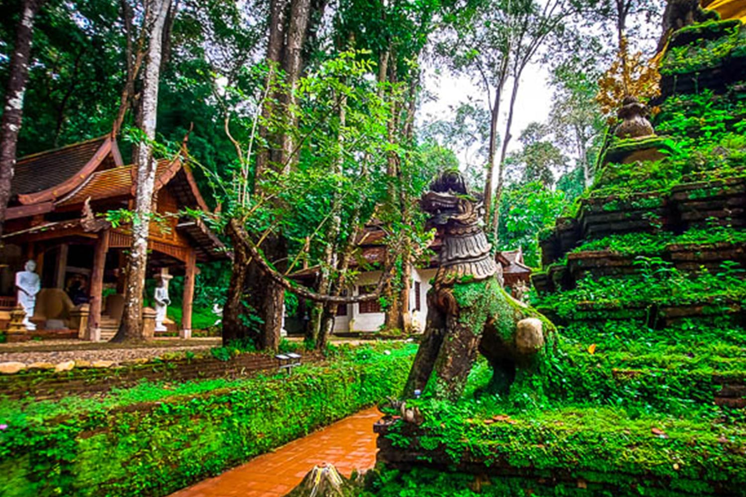 séjour à chiang mai sur mesure en français