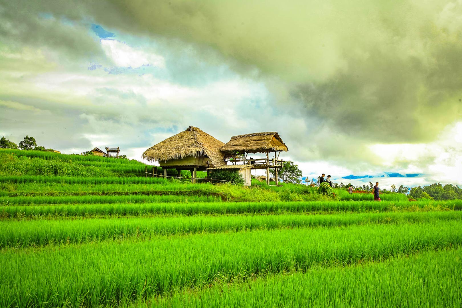 Séjour à Chiang Mai sur mesure en français Chiang Mai