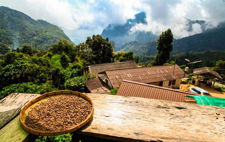 Montagnes de Chiang Rai jusqu'au Triangle d'Or à la journée en français Chiang Rai