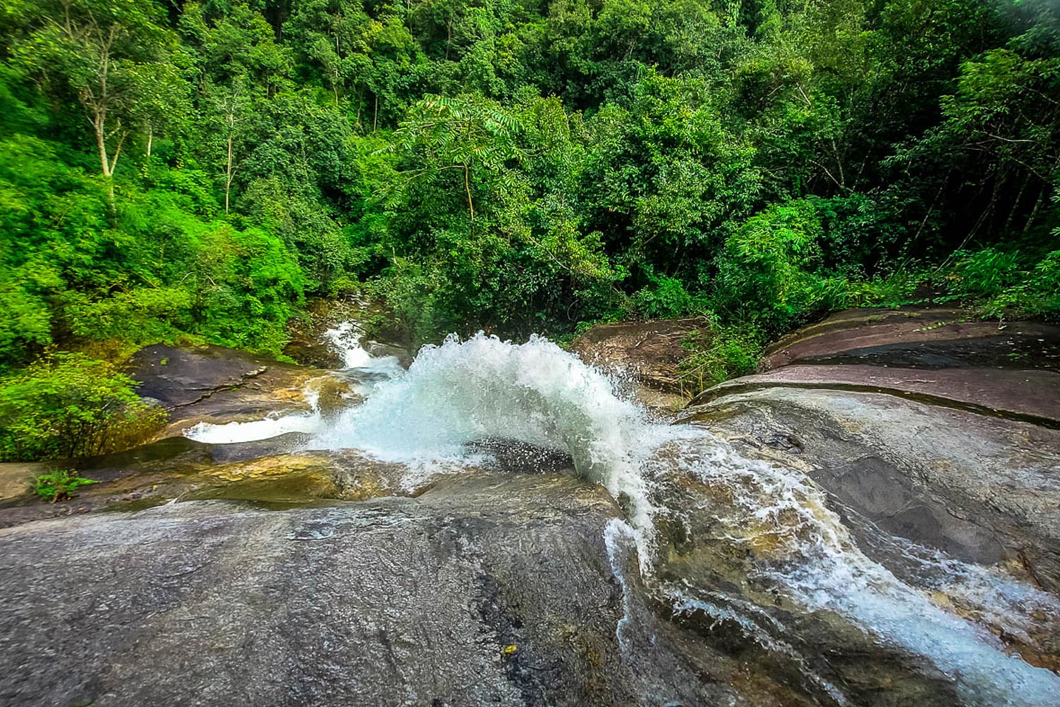 two days trek on doi inthanon mountain with visit of a karen village