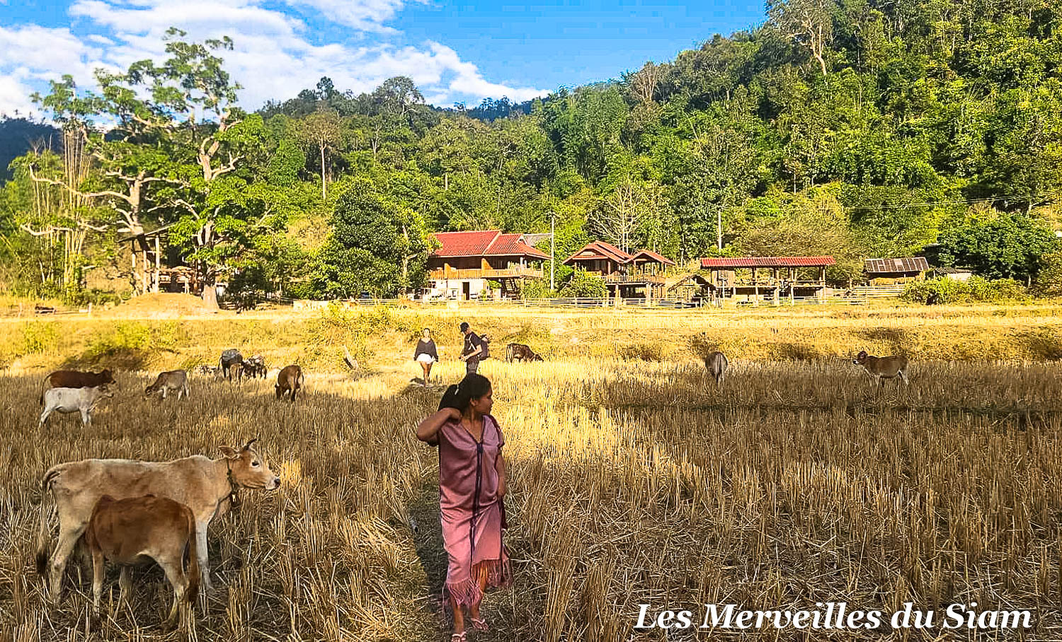 immersive stay with karen hill tribe