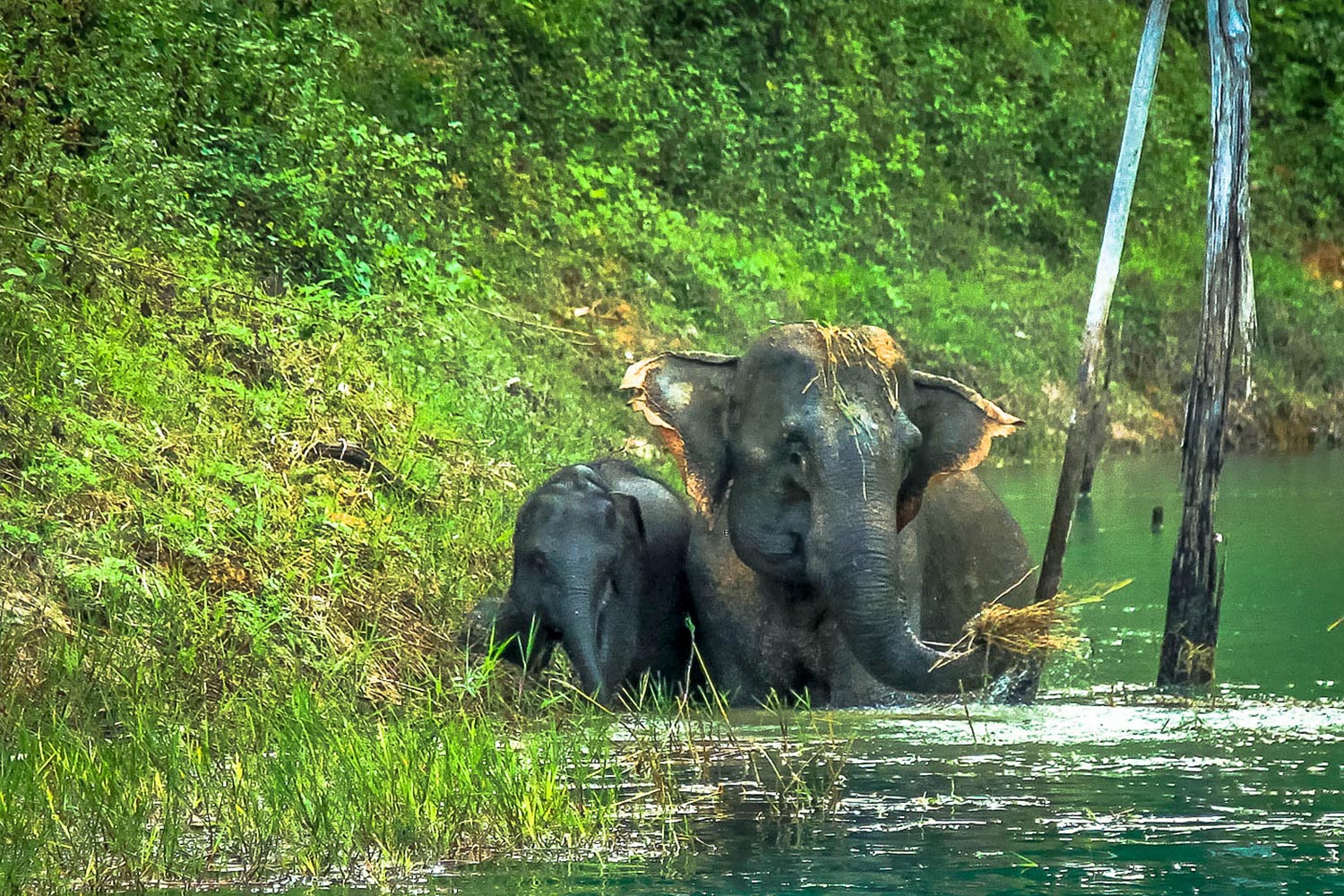 séjour à khao sok sur mesure