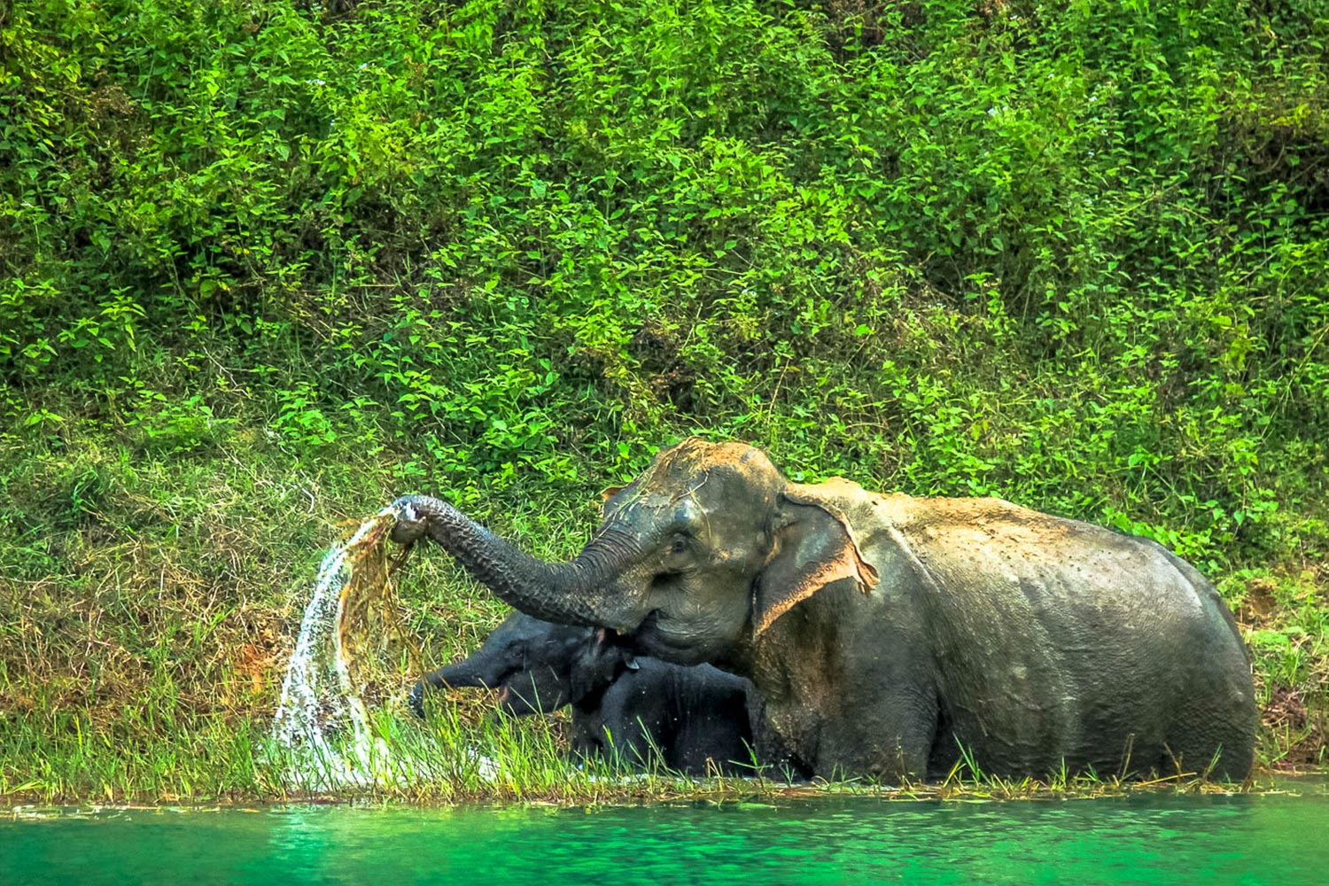 2 jours / 1 nuit sur le lac de khao sok avec découverte des animaux sauvages