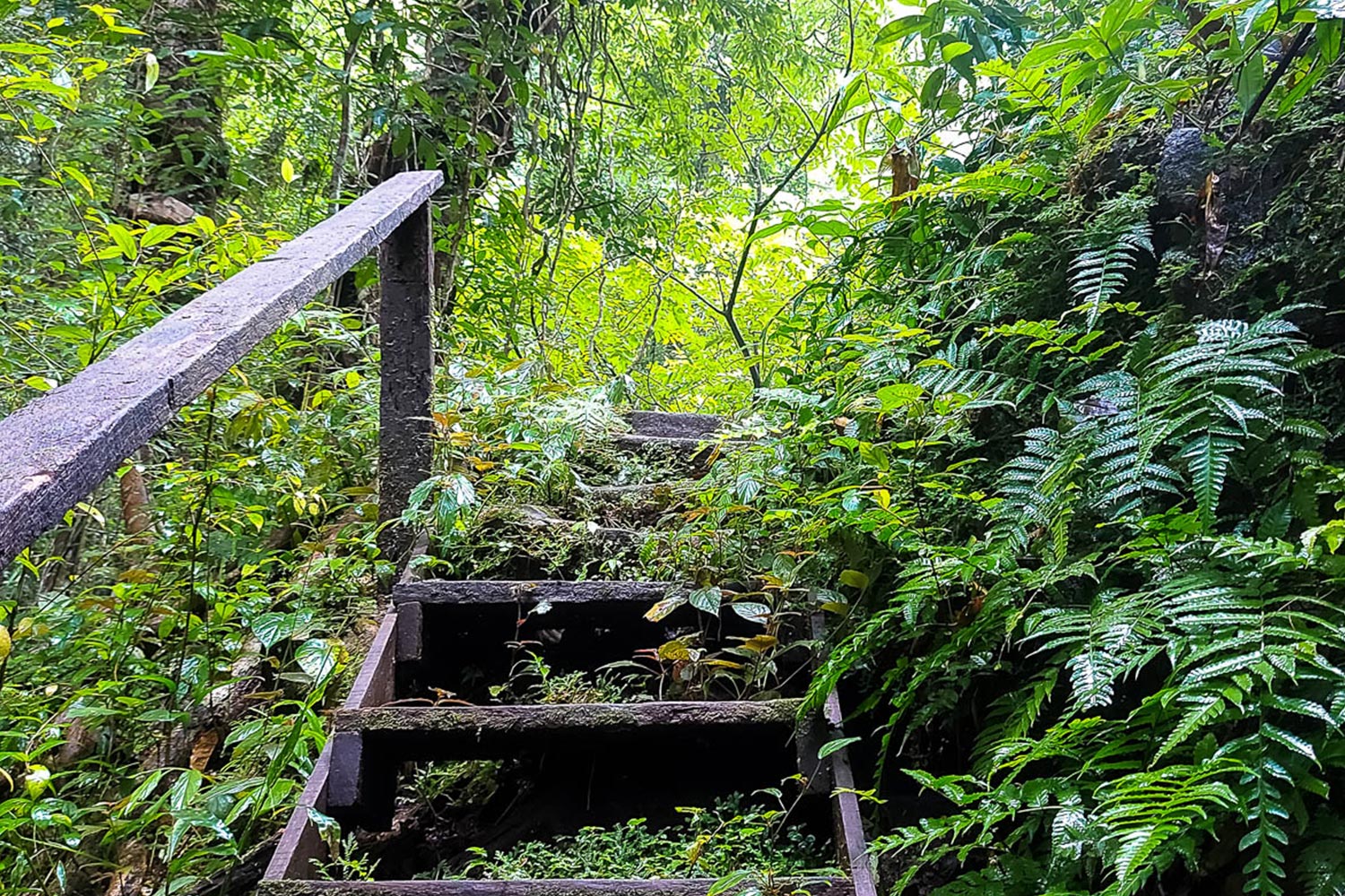 two days trek on doi inthanon mountain with visit of a karen village