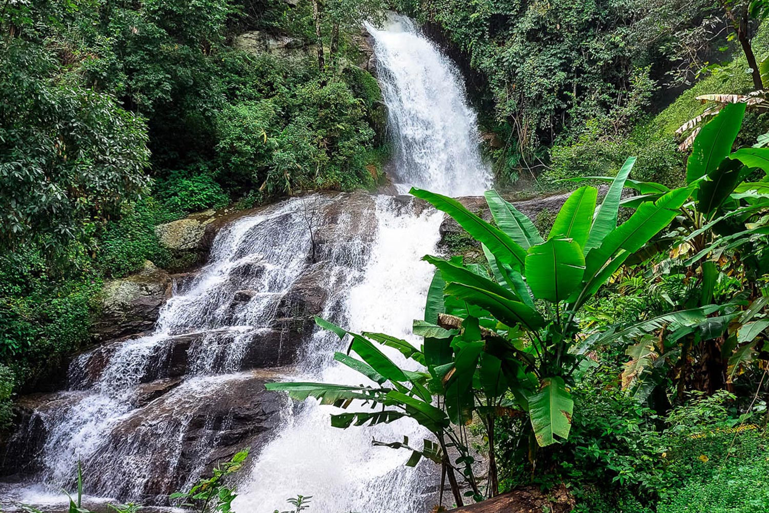 two days trek at doi inthanon and ban pa pong piang (chiang mai)