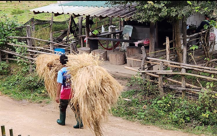 la thaïlande du nord hors des sentiers battus image 13