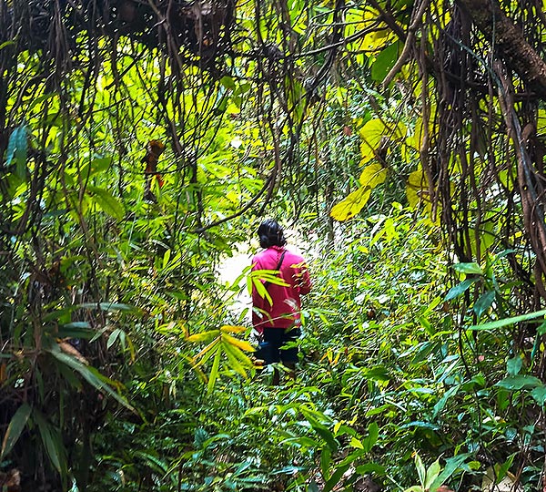 la thaïlande du nord hors des sentiers battus img 6